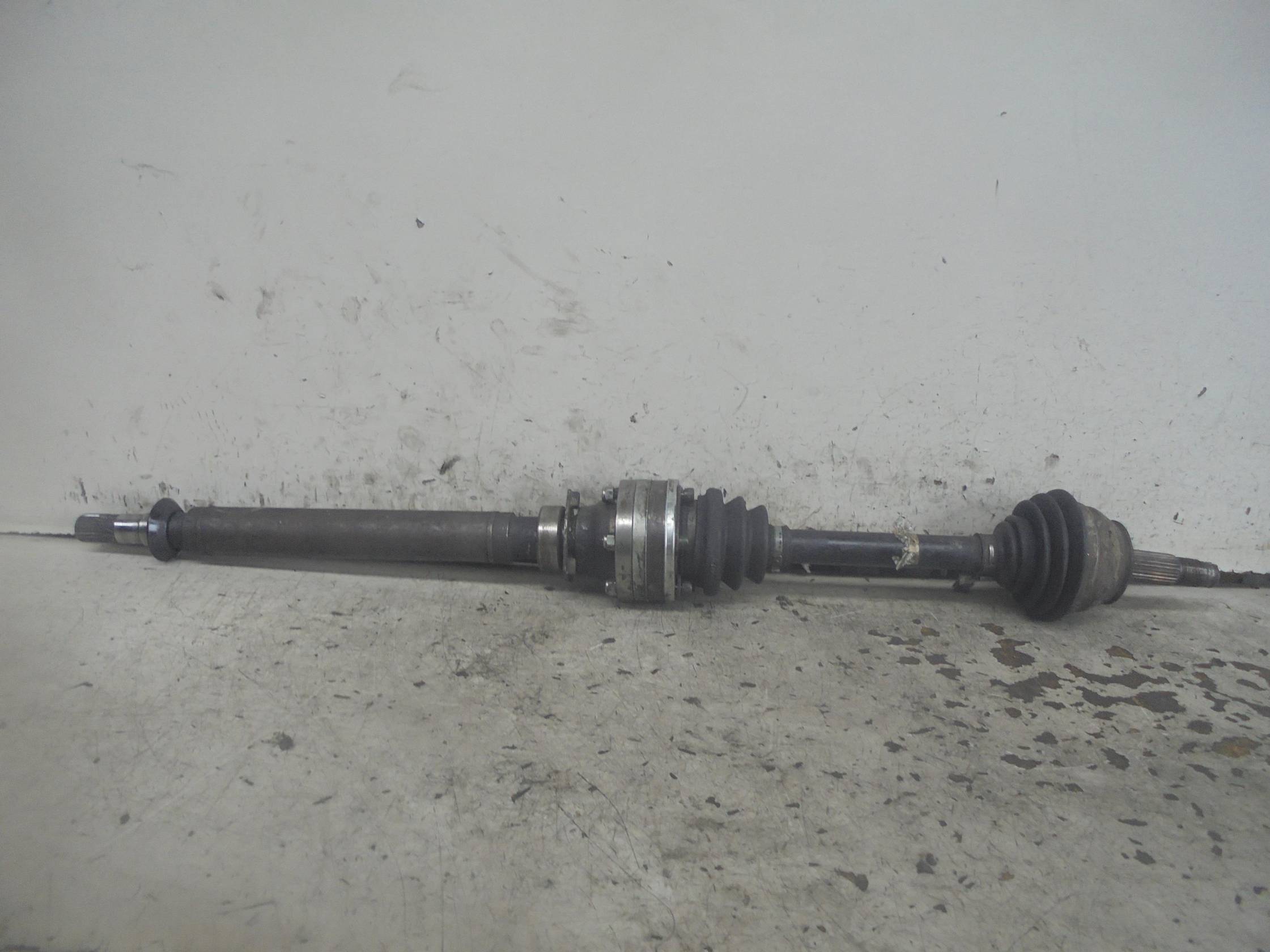 Semialbero ant. compl. dx.